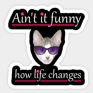 Ain't it funny how life changes with a cat Sticker